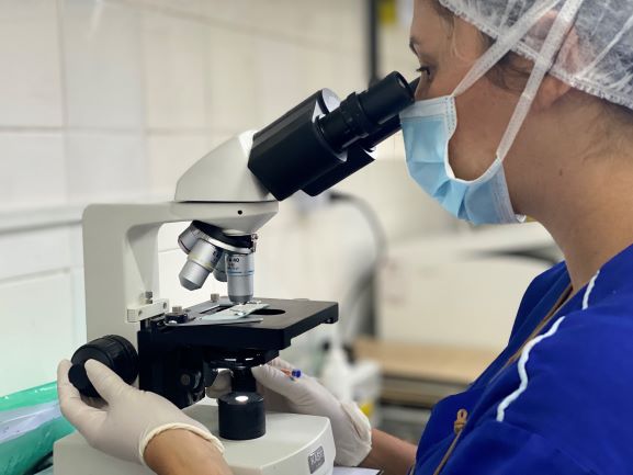 Foto de uma profissional do Laboratório. Ela aparece de lado, do ombro para cima, manuseando um microscópio.