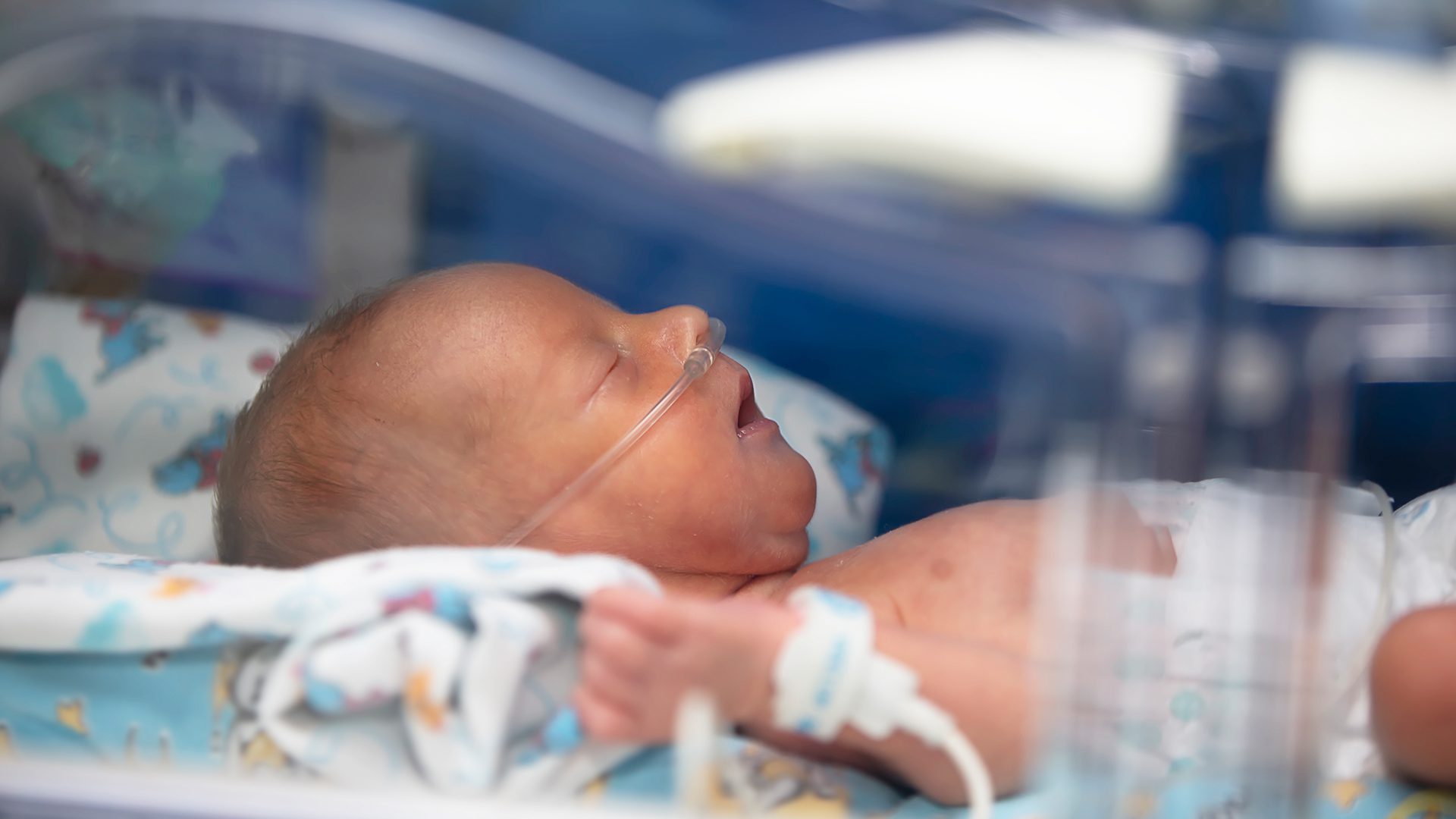 Bebês prematuros exigem atenção e cuidados especializados para que sobrevivam e se desenvolvam de forma saudável
