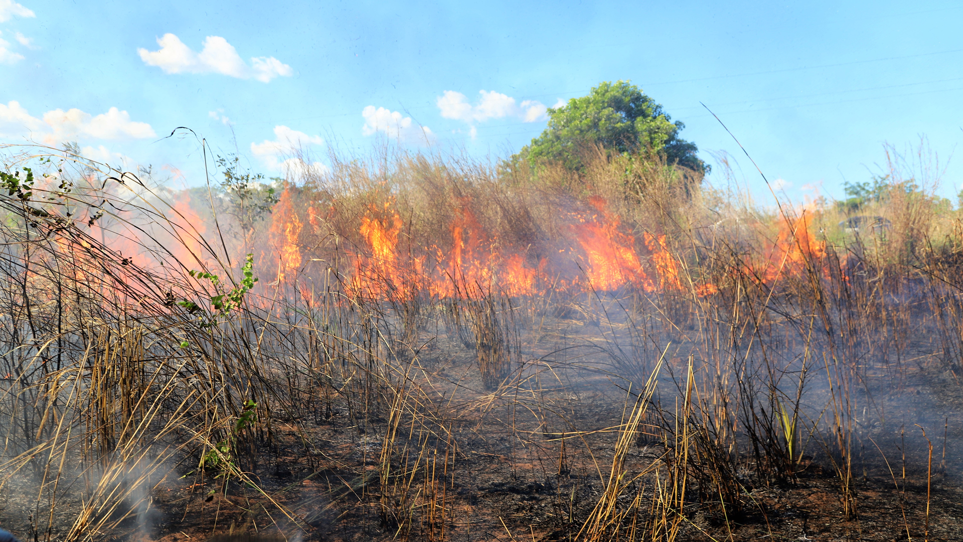 Fumaça pode conter partículas finas e substâncias tóxicas que, ao serem inaladas, irritam o trato respiratório e podem desencadear ou agravar doenças respiratórias; veja dicas para evitar complicações. (Foto: Secom Araguaína)