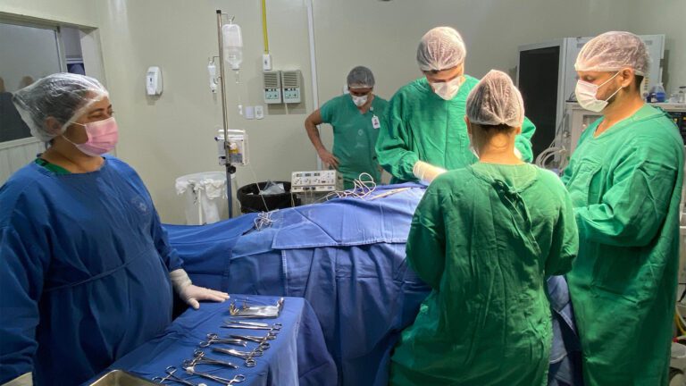 A ampliação da oferta de cirurgias busca fortalecer o atendimento hospitalar da região e consolidar o HEDA como referência em saúde pública no norte do Piauí. (Foto: Camila Neto)