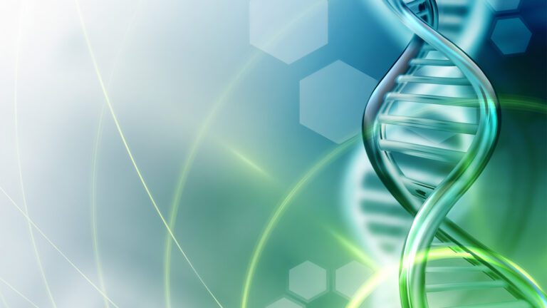 COMITÊ DE BIOÉTICA ISAC – 2025